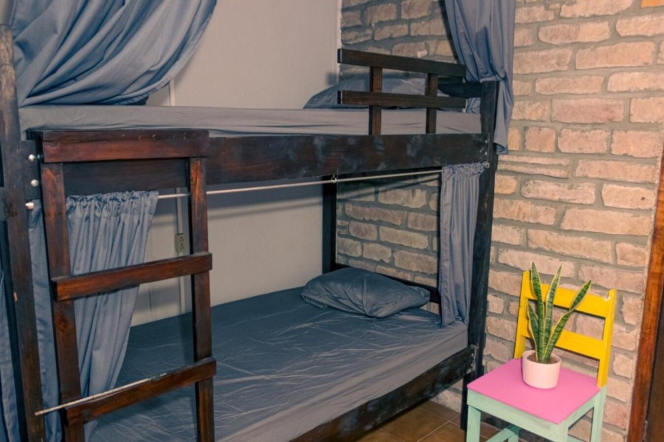 Chillout Hostel Barrio Escalante Сан-Хосе Екстер'єр фото